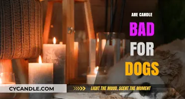 Candles and Dogs: A Toxic Mix?