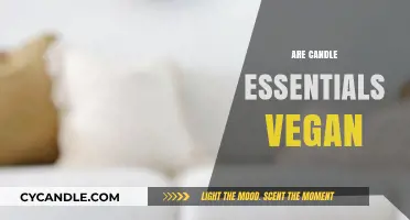 Vegan Candles: What Makes Them Essential?