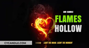 Candle Flames: Hollow or Solid Science?