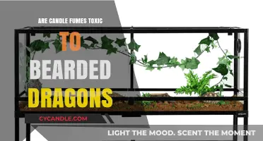 Candle Fumes: Are They Harmful to Bearded Dragons?