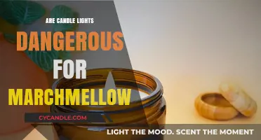 Are Candle Lights a Safe Way to Toast Marshmallows?