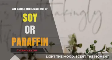 Soy vs Paraffin: What Are Candle Melts Made Of?
