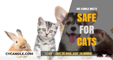 Are Candle Melts Safe for Cats? A Pet Owner's Guide