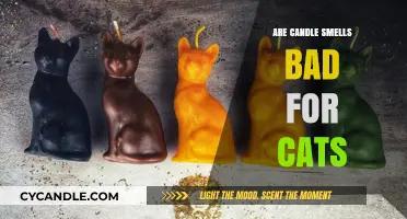 Candle Scents: Are They Safe for Cats?