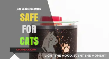 Are Candle Warmers Safe for Cats? A Pet Owner's Guide