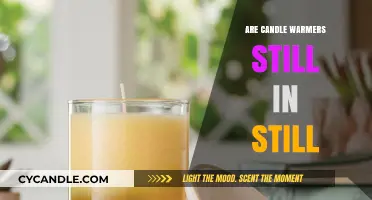 Candle Warmers: Still Trendy or Old News?