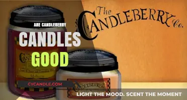 Candleberry Candles: Are They Worth the Hype?