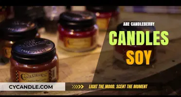 Candleberry Candles: Soy or Paraffin?