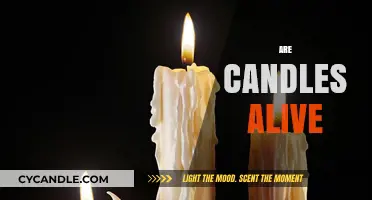 The Mystery of Life: Are Candles Alive?