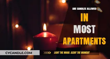 Candle Conundrum: Apartment Rules and Regulations Explained