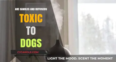 Candles and Diffusers: Are They Safe for Dogs?