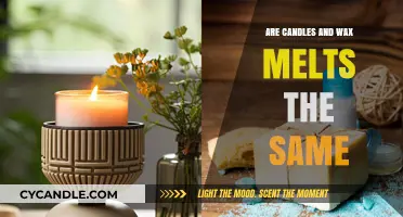Candles vs. Wax Melts: Understanding the Key Differences and Uses