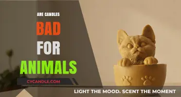 Candles and Pets: A Toxic Mix?