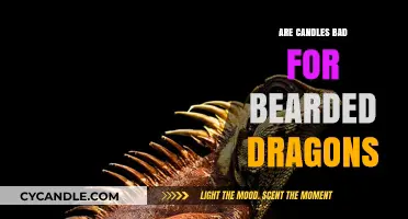 Candles and Bearded Dragons: A Safe Combination?