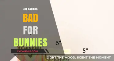 Candle Fumes and Bunnies: A Toxic Mix?