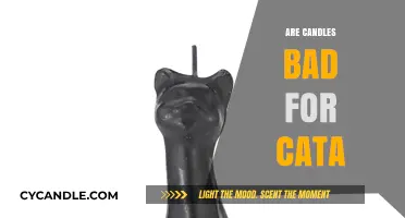 Candles and Cats: A Toxic Mix?