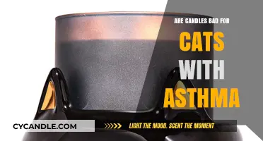 Candles and Cats: Asthma Triggers and Treatments