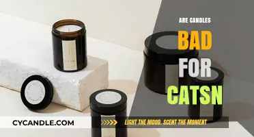 Candle Safety: Are Cats at Risk?