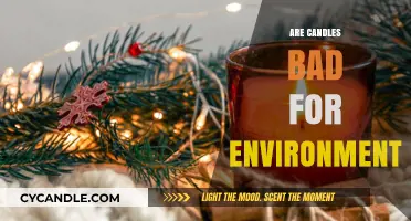 Candles: Eco-Friendly Lighting or Environmental Disaster?