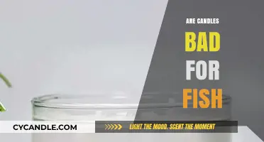 Candles and Fish: A Safe Combination?