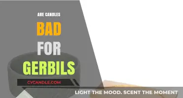 Candles and Gerbils: A Safe Combination?