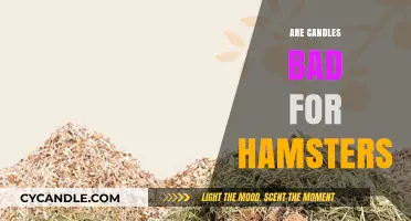Candle Fumes and Hamsters: A Safe Combo?
