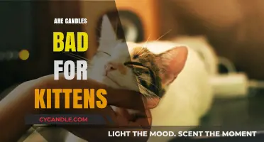 Candles and Kittens: A Safe Combination?