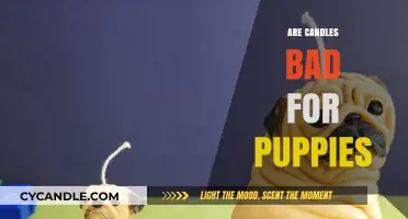 Candles and Puppies: A Potentially Deadly Mix