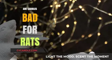 Candles and Rats: A Toxic Mix?