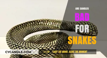 Candles and Snakes: A Safe Combination?