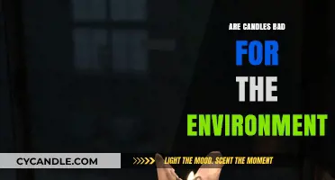 Candles: Eco-Friendly Lighting or Environmental Disaster?