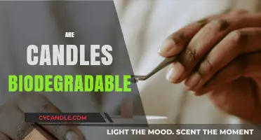 The Biodegradability of Candles: What You Need to Know