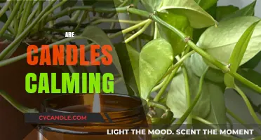 Candles: A Relaxing, Calming, and Soothing Experience