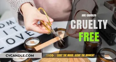 Cruelty-Free Candles: Ethical and Sustainable Choices