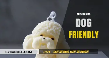 Candles and Dogs: A Safe Combination?