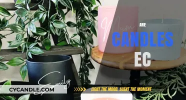 Candles: Eco-Friendly or Eco-Disaster?