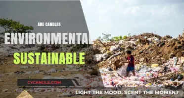 Candles: Eco-Friendly Light or Environmental Disaster?