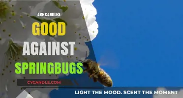 Springbugs: Are Candles an Effective Solution?
