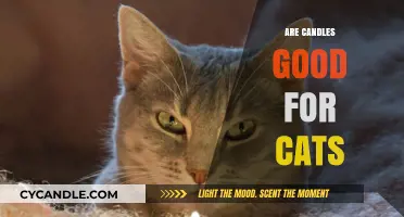 Candles and Cats: A Safe Combination?