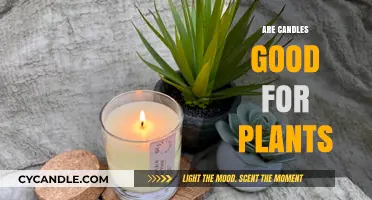 Candles and Plants: A Healthy Mix?
