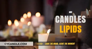 Candles: Lipids or Not?