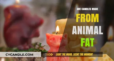 The History of Candles: Animal Fat to Wax