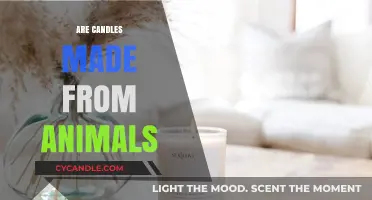 The Truth About Animal-Based Candles