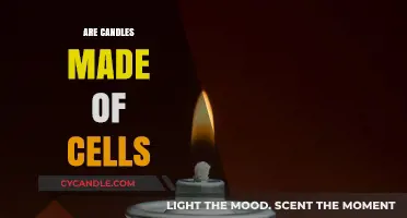 The Intriguing Link Between Candles and Cells