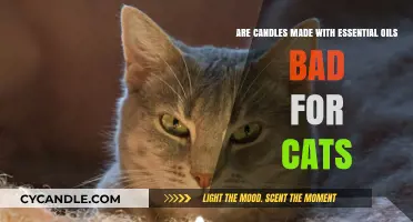 Essential Oil Candles: Safe or Toxic for Cats?