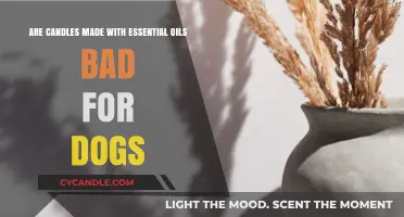Candles With Essential Oils: Are They Safe for Dogs?