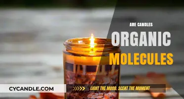 What Are Candles Made Of? Organic or Not?
