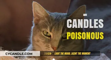 Candle Toxins: Are They Poisonous?