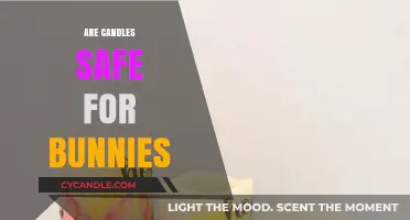 Are Candles Safe for Bunnies? A Pet Owner's Guide