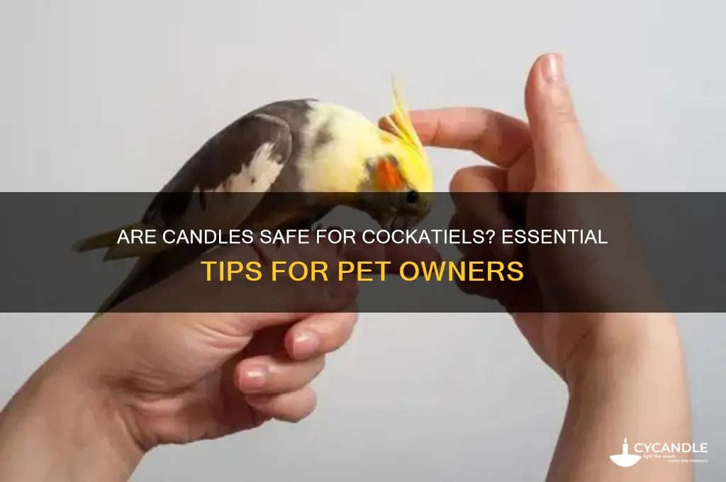 are candles safe for cockatiels
